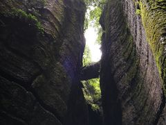 -梦幻奥陶纪景区