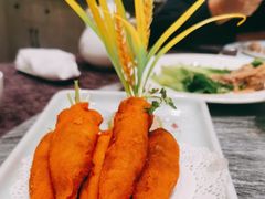 -丁老爷子苏香圆