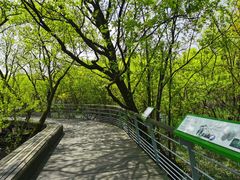 -西湖风景区-江洋畈生态公园