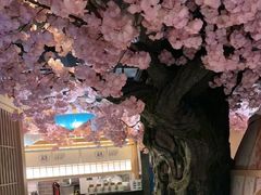 -礼舍·和牛火锅·烤肉·料理餐厅(华茂店)