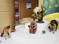 -陕西自然博物馆