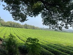 -敬亭山风景名胜区