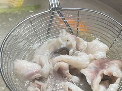 脆肉鲩鱼片火锅-鱼神·脆肉鲩 全鱼宴(西乡店)