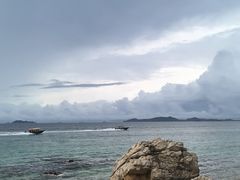 -杨梅坑