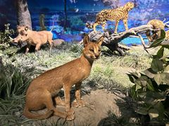 -国家自然博物馆