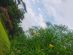 -深圳湾公园(南山区)