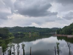 -番禺大夫山森林公园