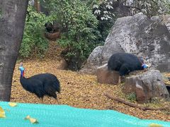 -昆明动物园