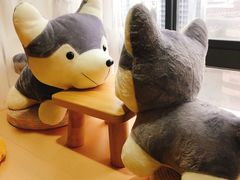 -Husky Go! 哈士奇体验馆·宠物咖啡厅狗咖