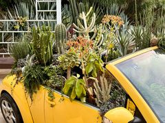 -深圳仙湖植物园