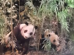 -天津自然博物馆