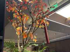 -天虹购物中心(深圳龙华店)