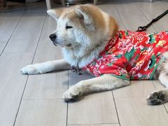 -YCHL Studios健身工作室(市二宫店)