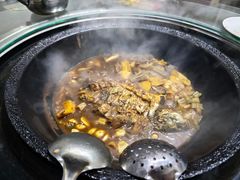 灶台鲤鱼-姥家大锅台水库渔家