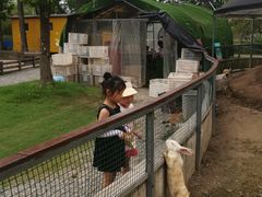 -前小桔亲子创意农场·草莓采摘·露营烧烤