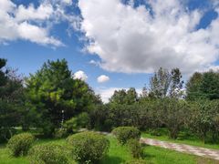 -黑龙江省森林植物园