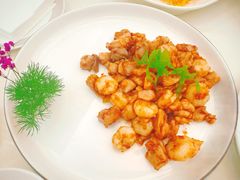 -丁老爷子苏香圆