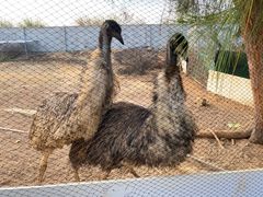 -厦门湾·白塘湾火山公园