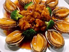 虎掌鲍鱼-舒味姜母鸭·沙茶面(湖里店)