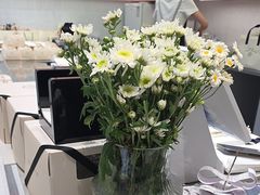 -PETIT PARIS 小巴黎(花园道店)