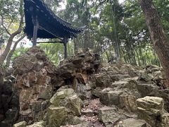 -赭山公园