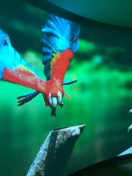 -北京科学中心儿童乐园