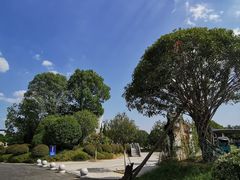 -武汉紫薇都市田园