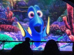 -海底巡游艇:尼莫和好友的海洋世界