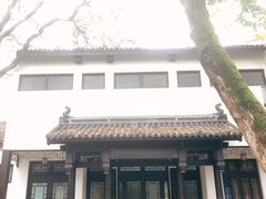 -红梅公园