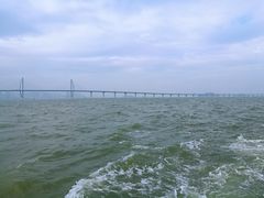 -澳门环岛游湾仔码头