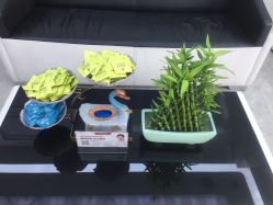 -悟空祛痘·诺奖技术专业店