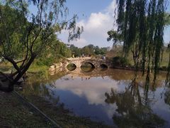 -共青国家森林公园-游客服务中心