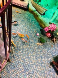 -酷嗒动物文化乐园(cutezoo西溪乐天城店)