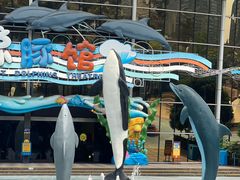 -海合安成都极地海洋公园