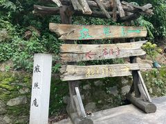 -寂照庵