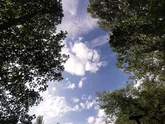 -百里山水画廊