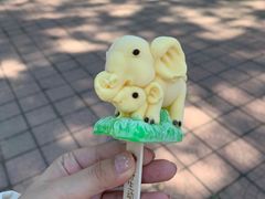 -秦皇岛野生动物园