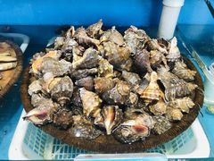 -港畔赶海蒸汽海鲜烧烤自助(仙螺岛店)