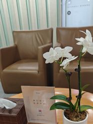 -Yestar艺星整形美容医院