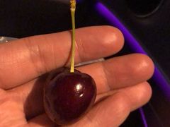 -菜园坝水果市场