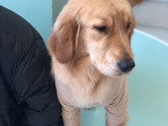 -怪兽屋·羊驼·猫咖·狗咖(俊华广场店)