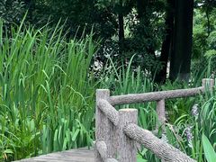 -成都市活水公园