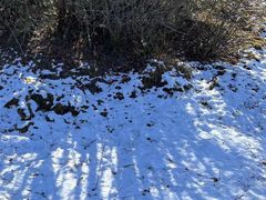-太子岭滑雪场