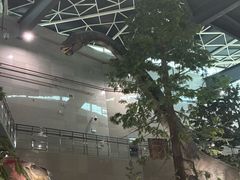 -湖南省地质博物馆