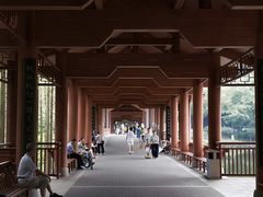 -重庆彩云湖湿地公园