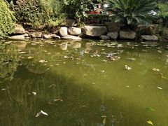 -苏堤停车场