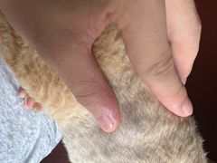 -美迦爱-牙专科·兔科·骨科诊疗中心(北苑店)