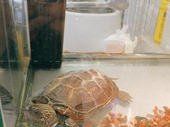 -粉墨私人影院•无人自助(维多利亚店)