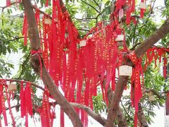 -小洲村