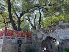 -大槐树寻根祭祖园